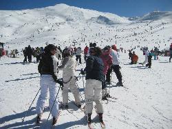 Foto realizada para la galer�a Curso 08-09 Viaje a Sierra Nevada